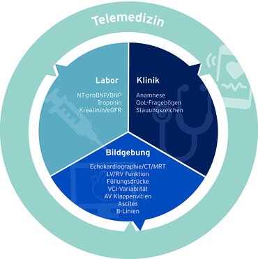 Bild zur Presseinformation "Neue Leitlinie zur instabilen Herzinsuffizienz"